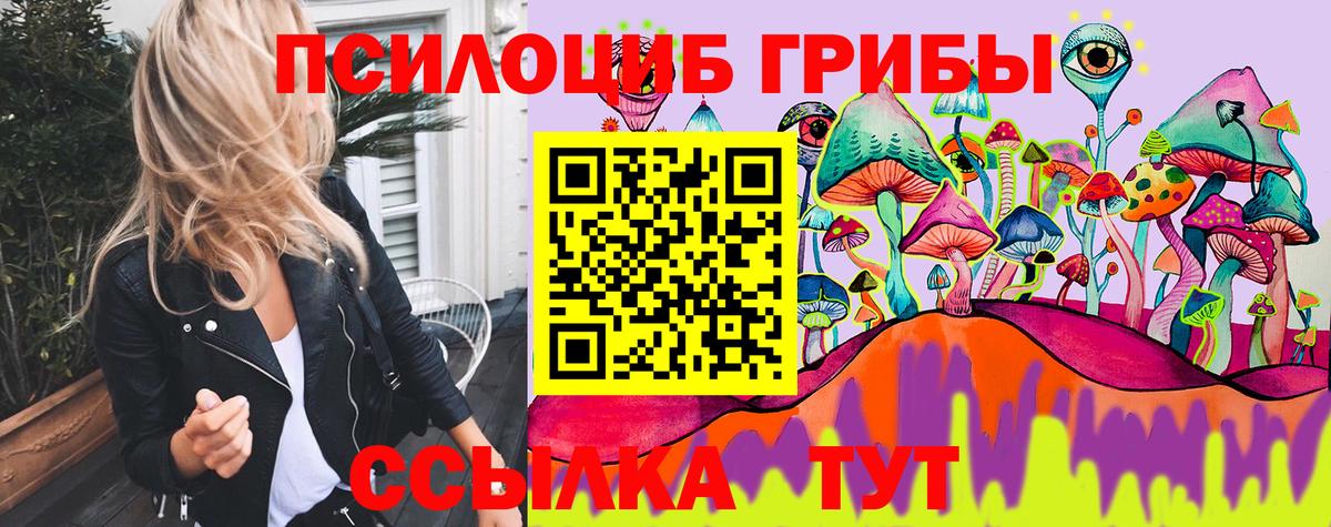 Псилоцибиновые грибы мицелий Королёв
